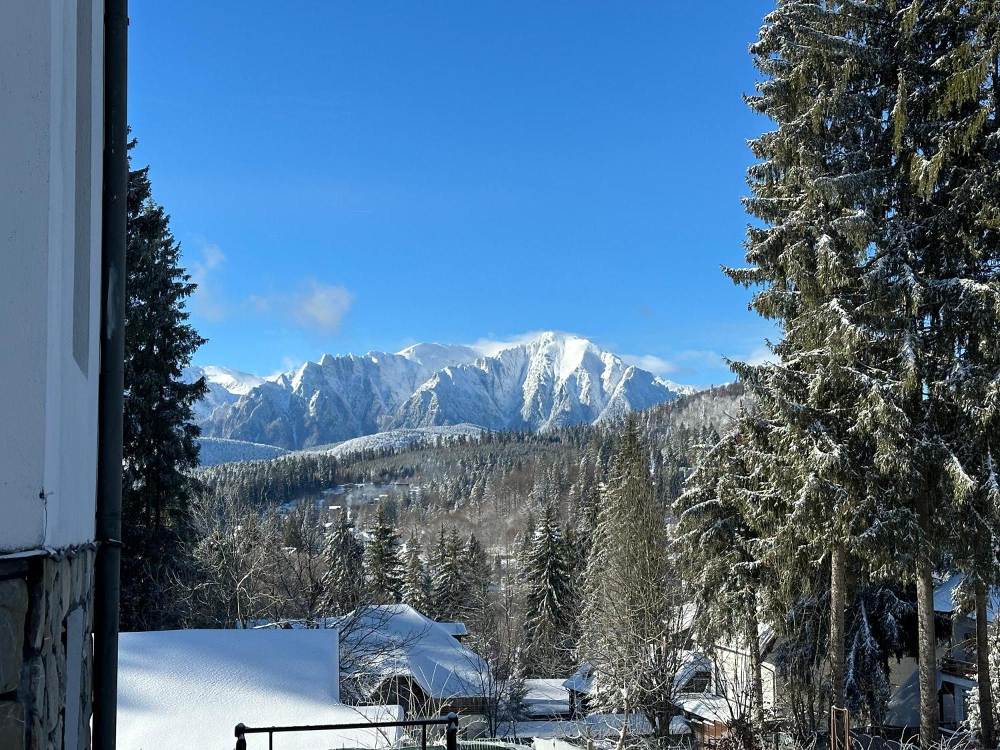 Pine Peak Apartments プレデアル エクステリア 写真