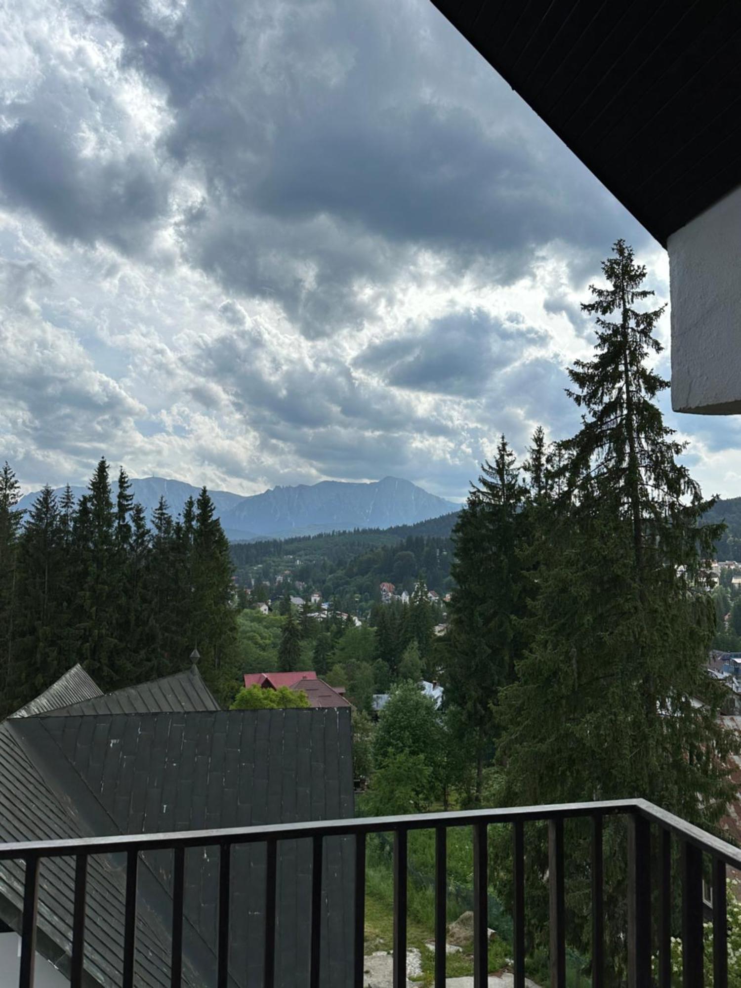Pine Peak Apartments プレデアル エクステリア 写真